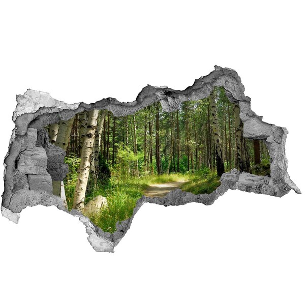 Hole in the wall decal Hole in the Wall Forest Path