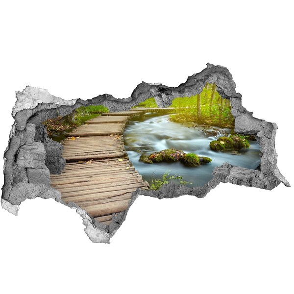 Hole wall sticker A stream in the forest