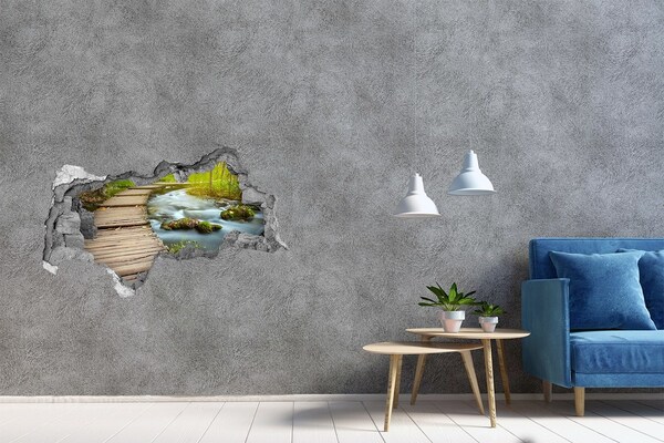 Hole wall sticker A stream in the forest