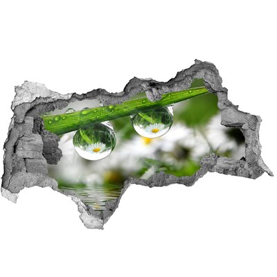 Hole in the wall sticker Floral oasis with water drops