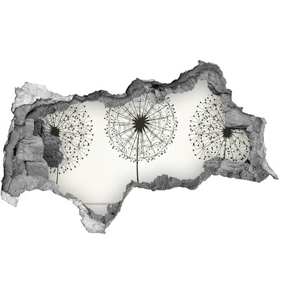 Hole wall sticker Dandelions against the wall