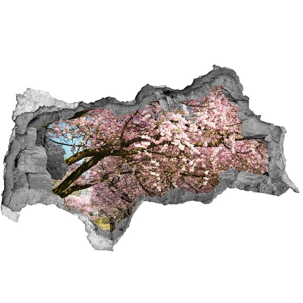 Hole in the wall sticker Blossoming cherry trees in the spring park