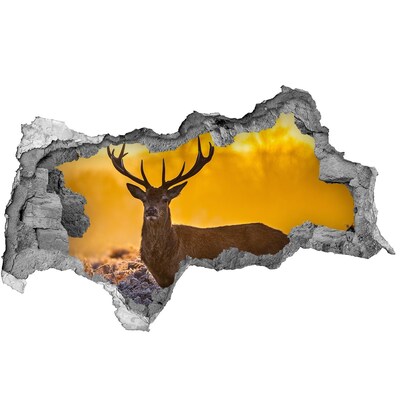 Hole in the wall sticker Deer in golden light