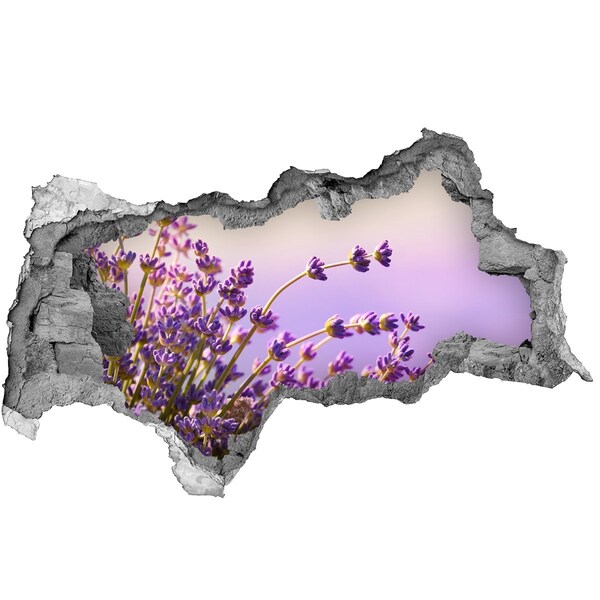 Hole in the wall sticker Lavender flowers in the morning light