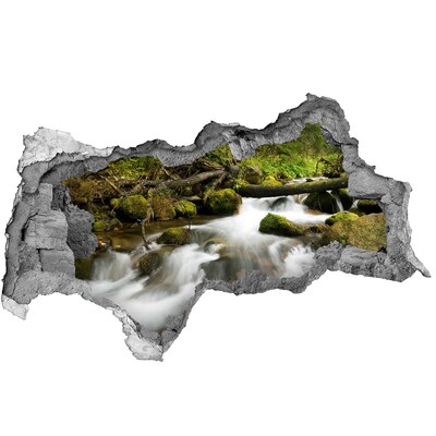 Hole wall sticker Green stream in the forest