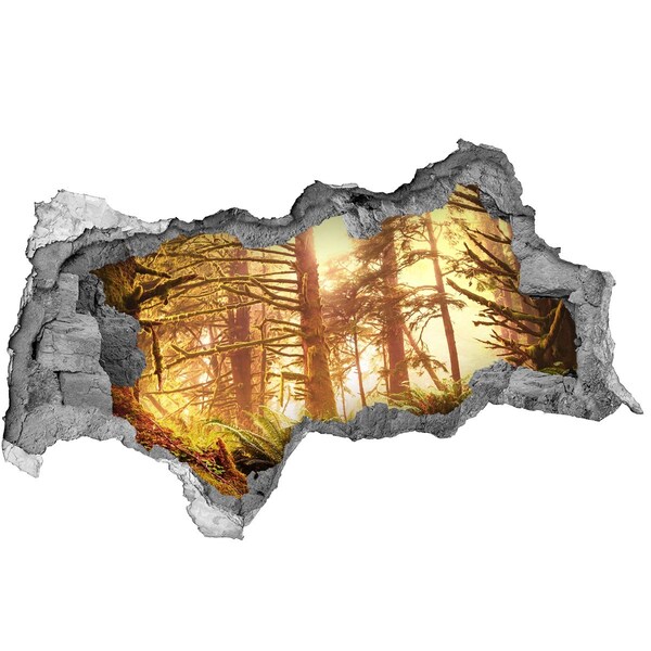 Hole wall sticker A forest oasis in the sunshine