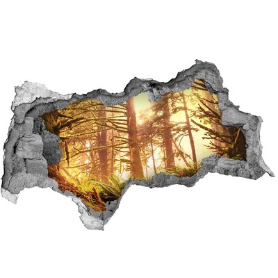 Hole wall sticker A forest oasis in the sunshine