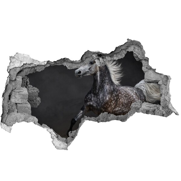Hole in the wall sticker Wild horse on the run