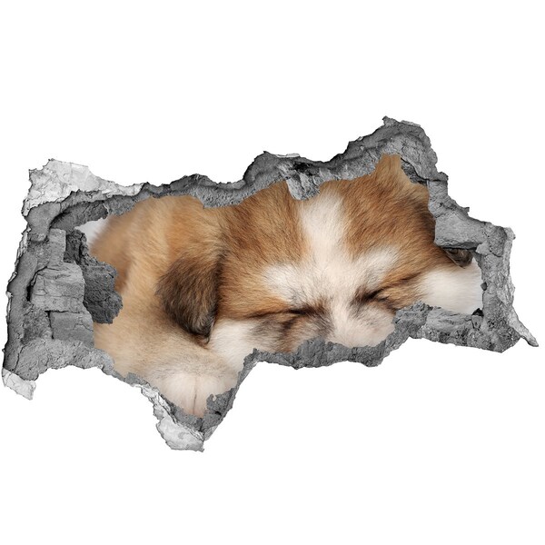 Hole wall sticker Cute Puppy in a Hole in the Wall