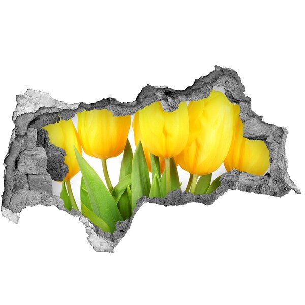 Hole in the wall decal Tulip flowers in a hole in the wall