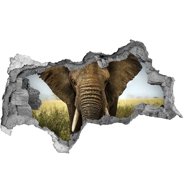 Hole wall sticker Elephants in their natural habitat