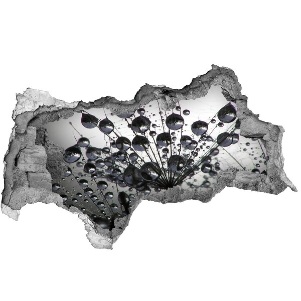 Hole in the wall sticker Water drops on a dandelion
