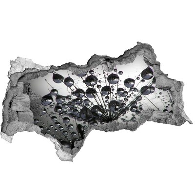 Hole in the wall sticker Water drops on a dandelion
