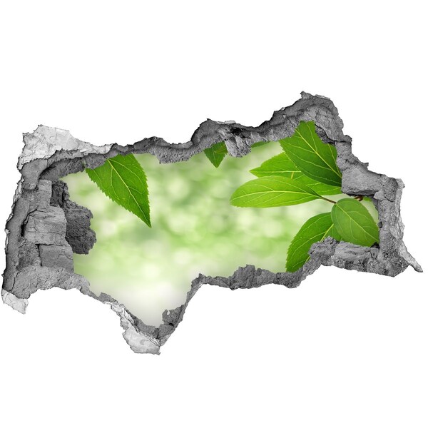 Hole in the wall sticker A green oasis in concrete