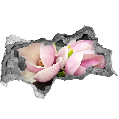 Hole in the wall sticker Magnolia flowers through a hole in the wall