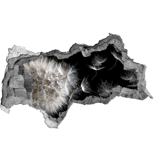 Hole in the wall sticker Dandelions in black space