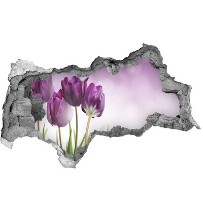 Hole in the wall sticker Flowers in a hole in the wall