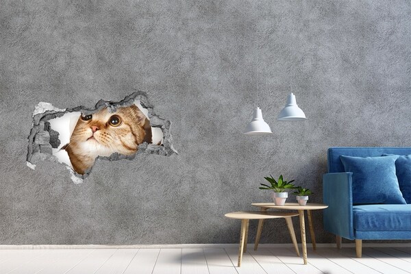 Hole wall sticker Cat in a hole in the wall
