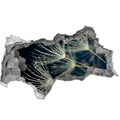 Hole in the wall sticker Dandelion flowers in water