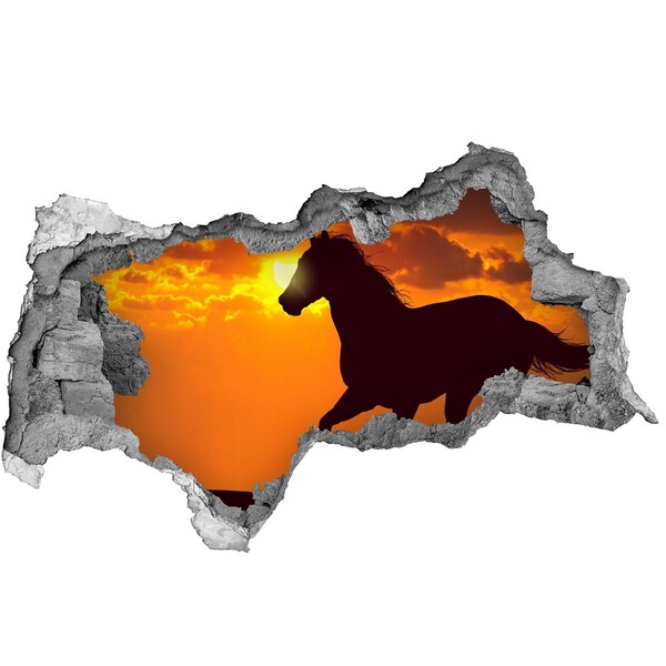 Hole in the wall decal Horse at sunset