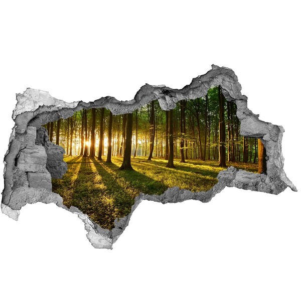 Hole in the wall sticker Golden forest in the morning