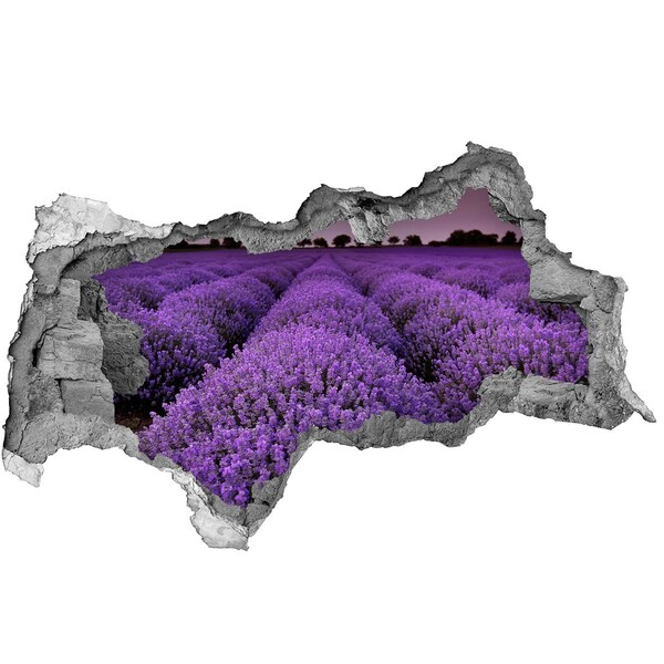 Hole in the wall decal A lavender field in full bloom