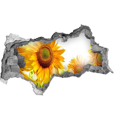 Hole wall sticker A floral dream behind the wall