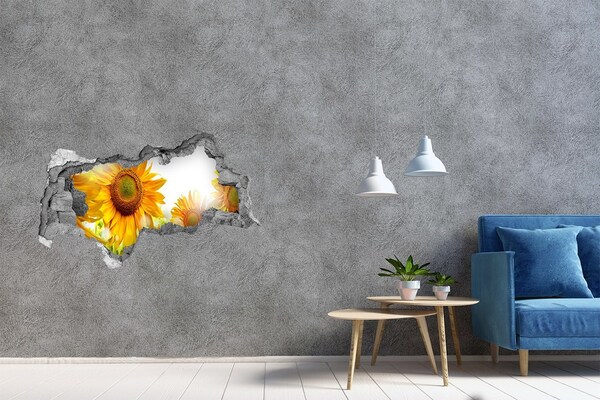 Hole wall sticker A floral dream behind the wall