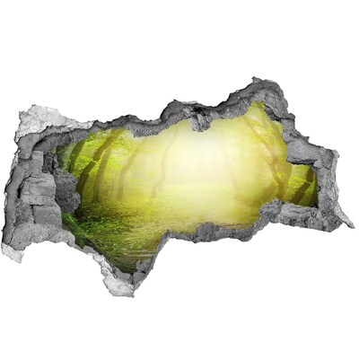 Hole in the wall sticker Green forest in the sun's rays