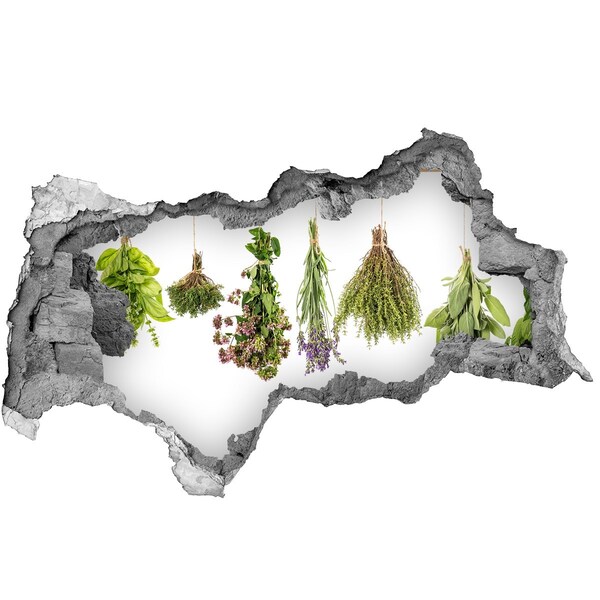 Hole in the wall sticker Herbal corner in the kitchen