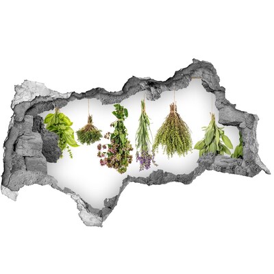 Hole in the wall sticker Herbal corner in the kitchen