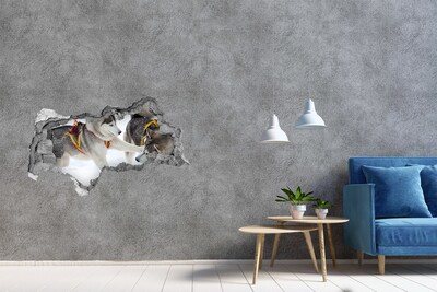 Hole in the wall sticker Siberian Huskies in action