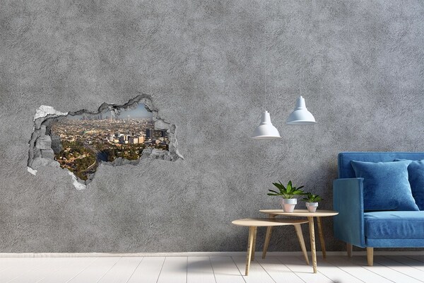 Hole in the wall decal View of Los Angeles