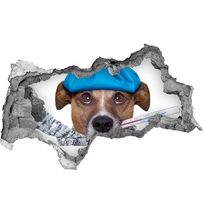 Hole in the wall decal Sick dog in a hat