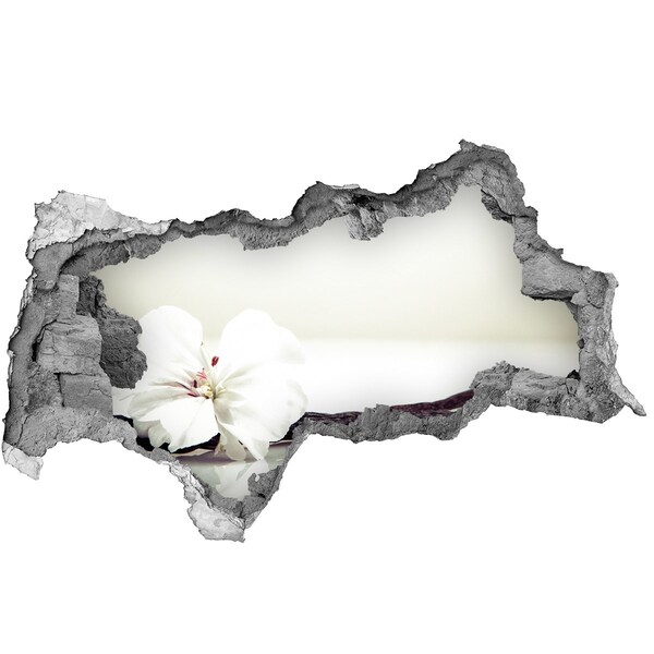 Hole wall sticker Floral view through the wall