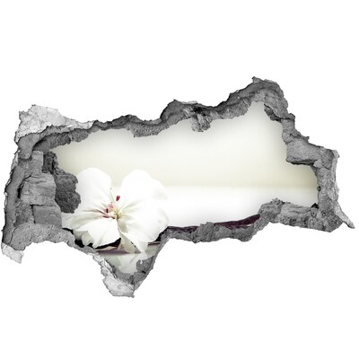 Hole wall sticker Floral view through the wall