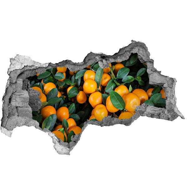 Hole in the wall sticker Fruit in the orange garden