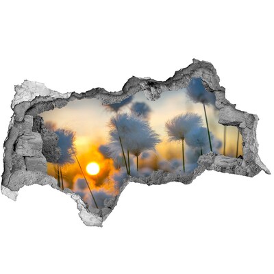 Hole in the wall sticker Flowers at sunset