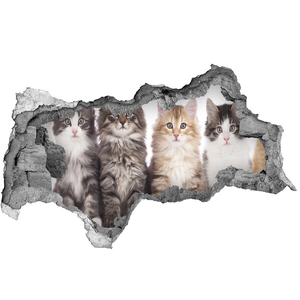Hole wall sticker Cats in a Hole in the Wall