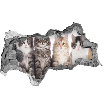 Hole wall sticker Cats in a Hole in the Wall