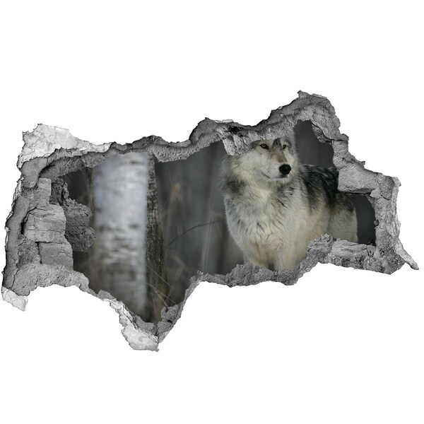 Hole in the wall decal Wolf in its natural habitat