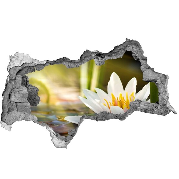 Hole in the wall decal Water flower in the garden