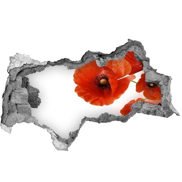 Hole in the wall sticker Poppy flowers in a hole in the wall