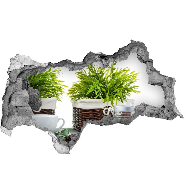 Hole in the wall sticker A green oasis in the comfort of your home