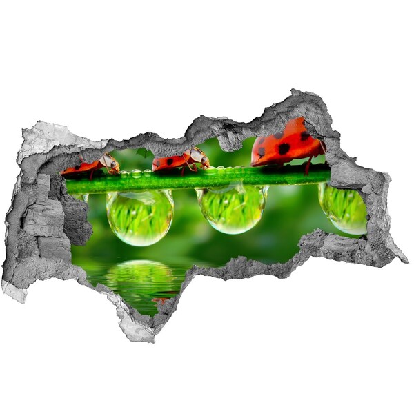 Hole in the wall decal A Drop of Nature with a Ladybug