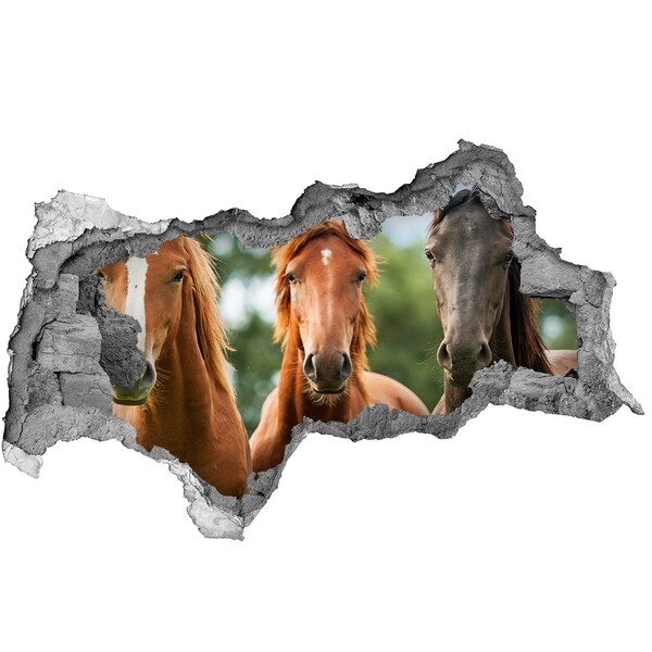 Hole wall sticker Horses in their natural habitat