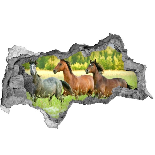 Hole in the wall sticker Running horses in nature