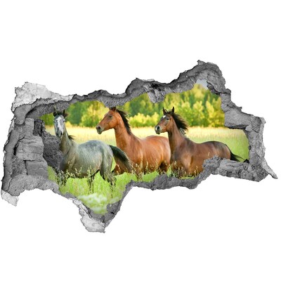 Hole in the wall sticker Running horses in nature