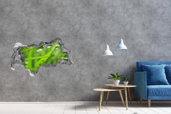 Hole in the wall sticker Green oasis with water drops