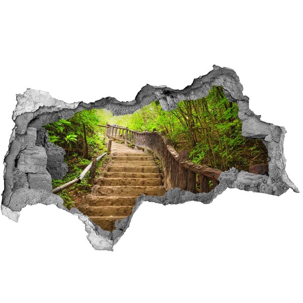 Hole wall sticker Forest path in the mountains